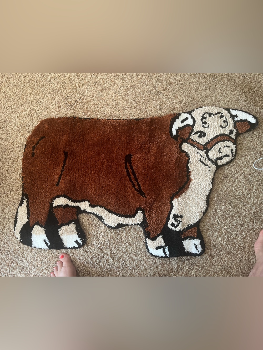 Hereford  rug